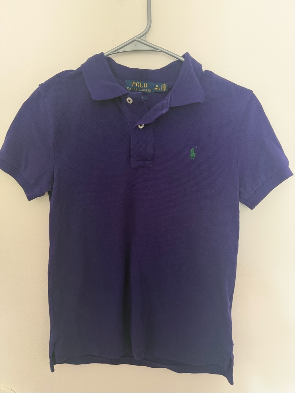Ralph Lauren Kids Deep Purple Polo with Green Pony